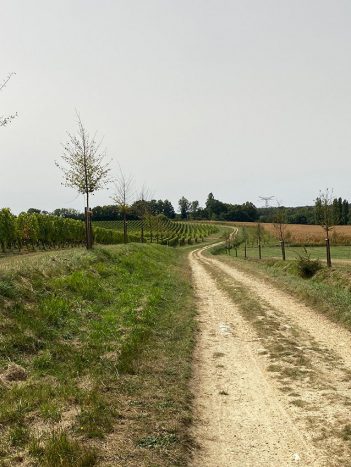 Circuit de la Laurence : à la découverte des 6 communes